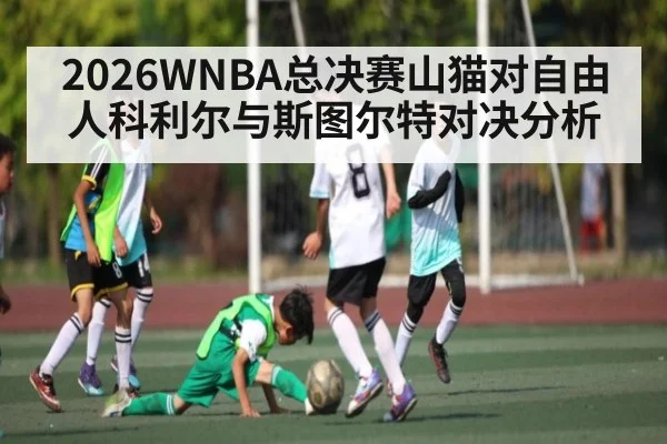 2026WNBA总决赛山猫对自由人科利尔与斯图尔特对决分析